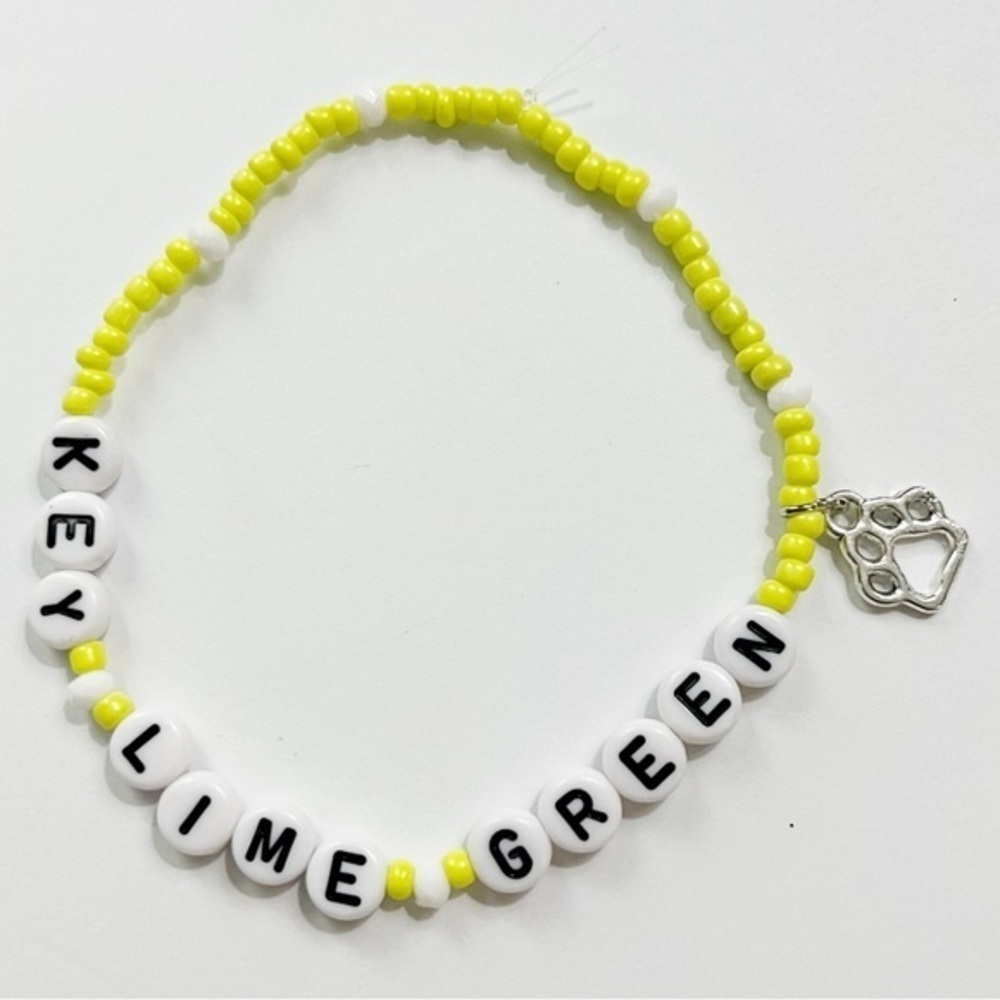 Taylor Swift Eras Tour Friendship Bracelet Key Lime Green Folklore